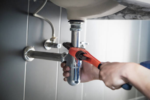 Best Local Plumber Services  in Cheswick, PA